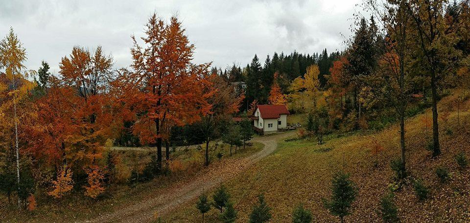 Soaptele Padurii & Casuta Din Padure Sucevita Exterior foto